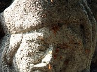 1-013 Takáts Mihály